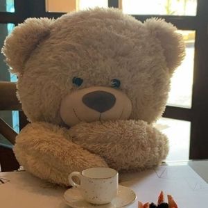 Meet your Posher, Faiz